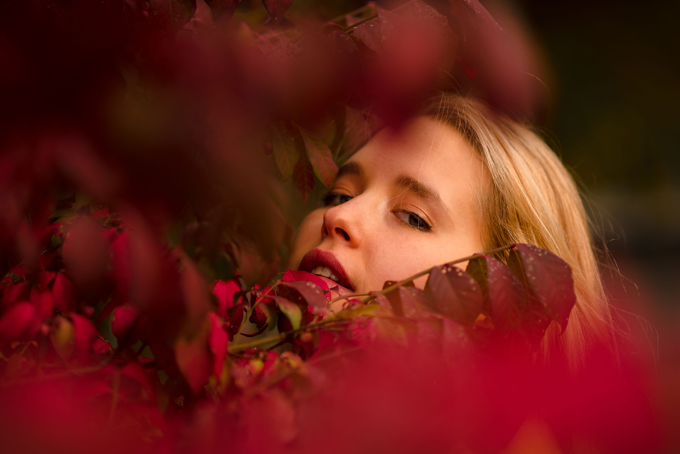 2018MarianneFall-Final-5.jpg