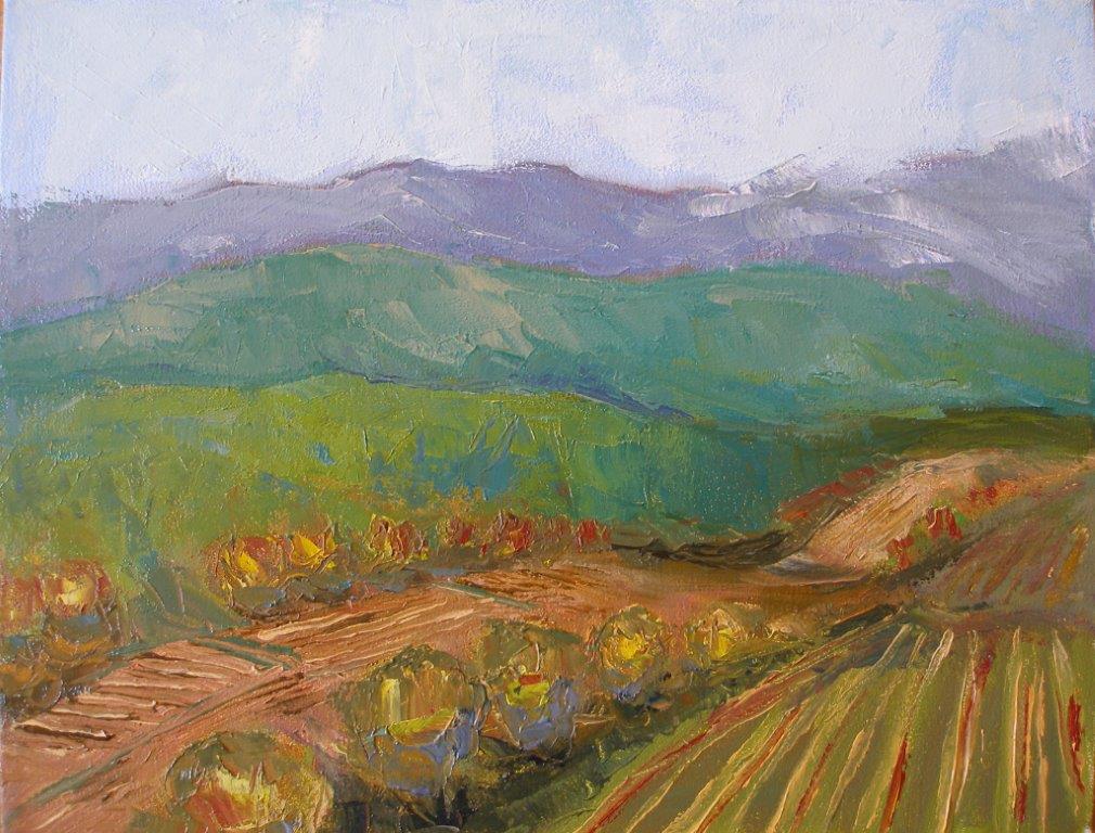 Field in Todi