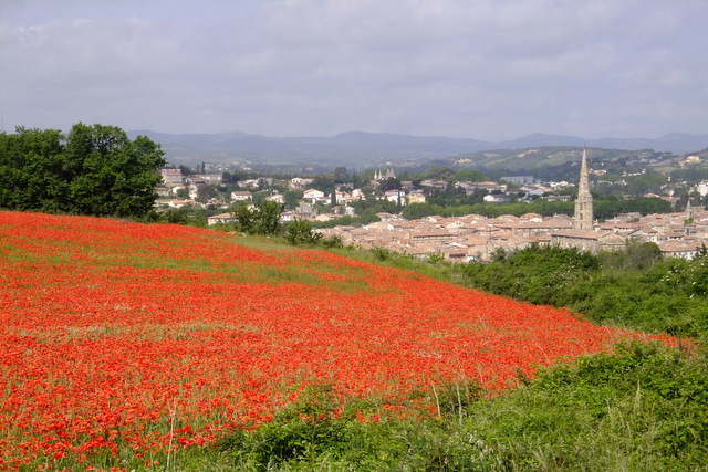 DSCF6234.jpg