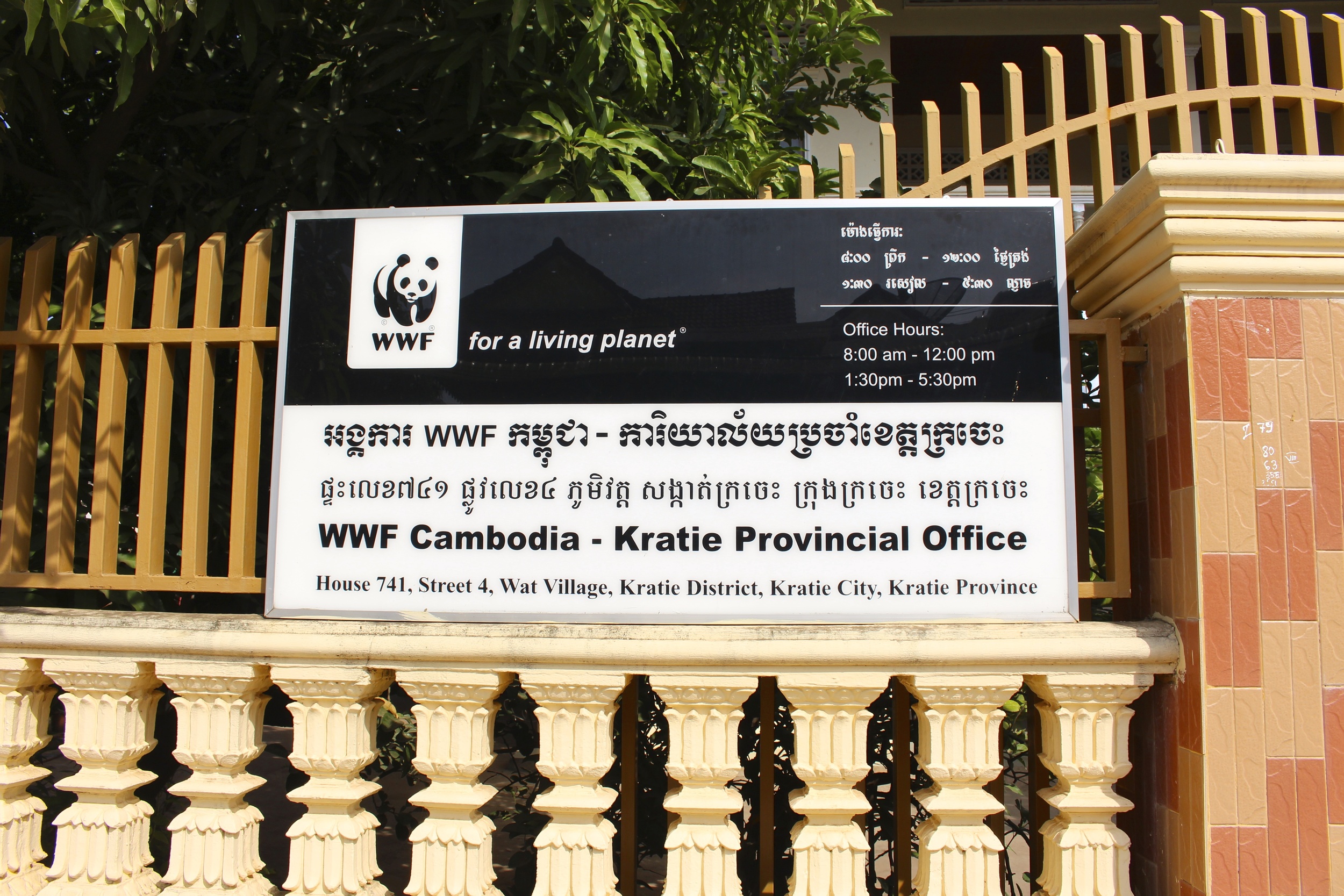WWF Office