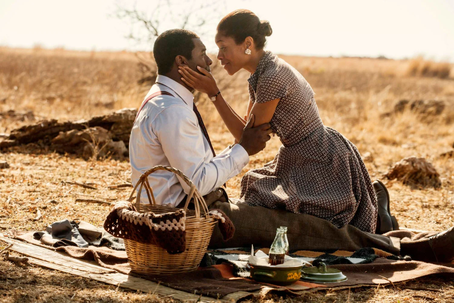 In the United States, leading film critics were unanimous in their praise for Mandela: Long Walk To Freedom / Videovision Entertainment (p)