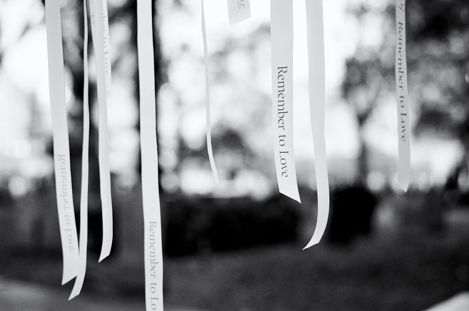 Ten Years Later Web (32 of 43).jpg
