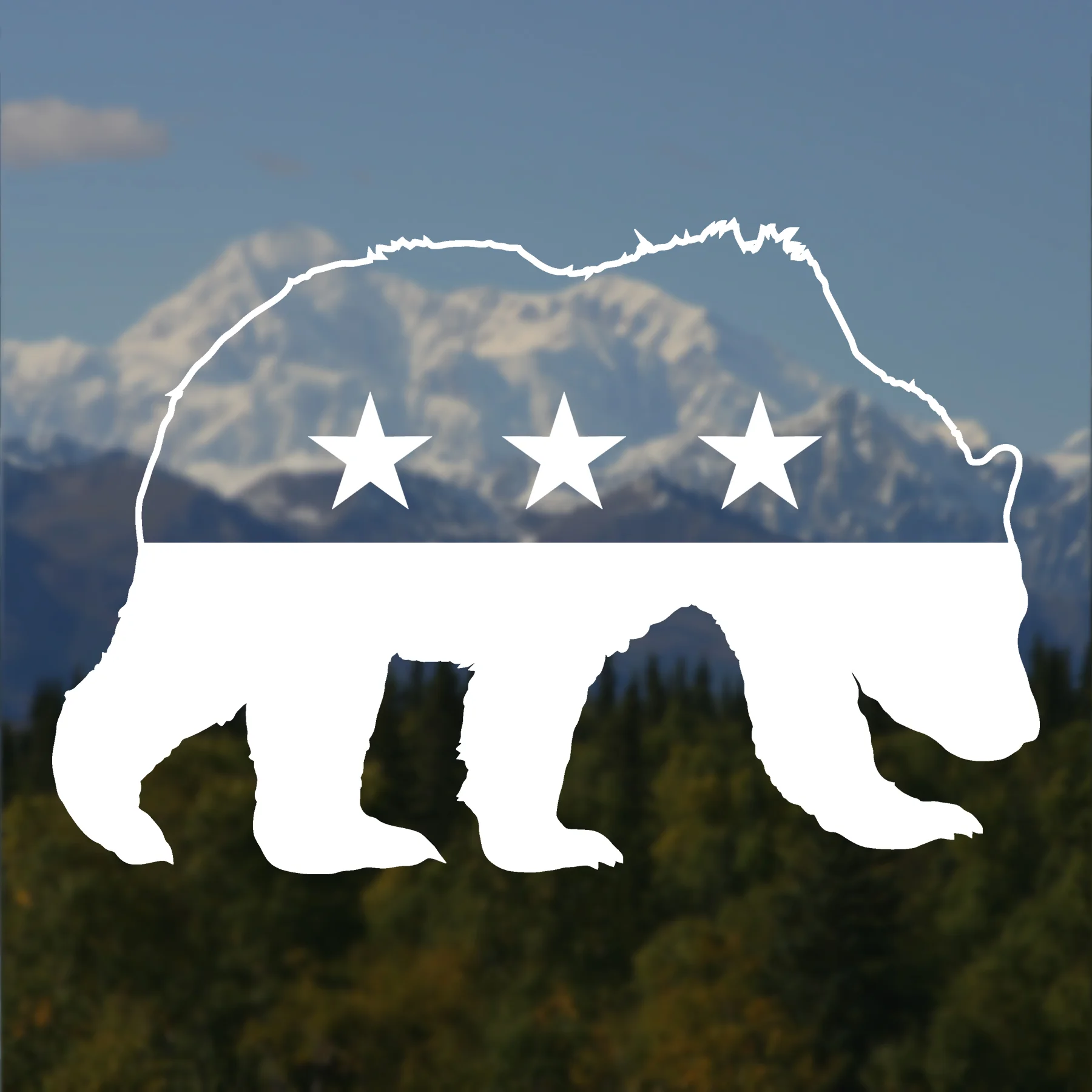 Bear.jpg
