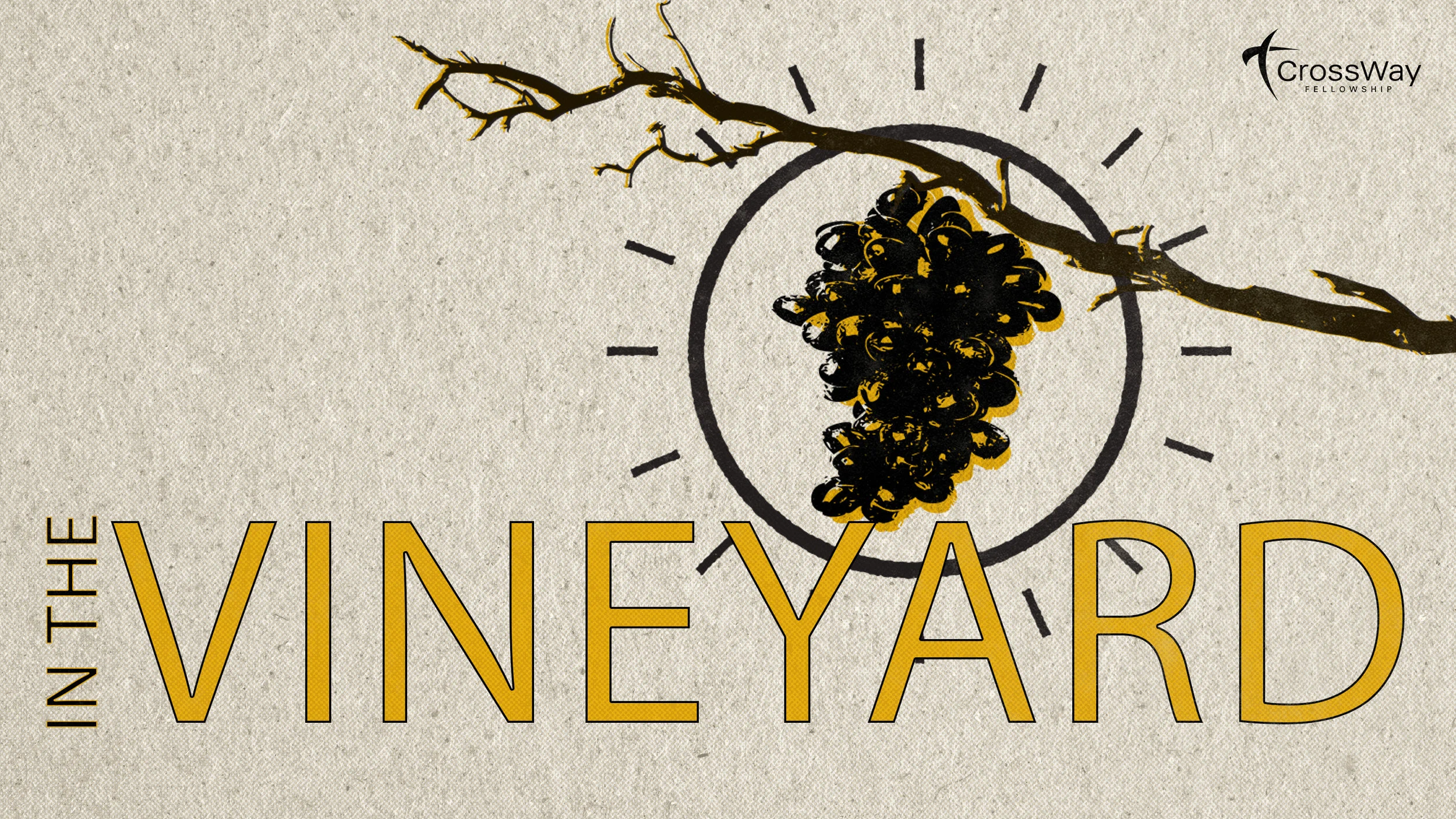 Vineyard 3.jpg
