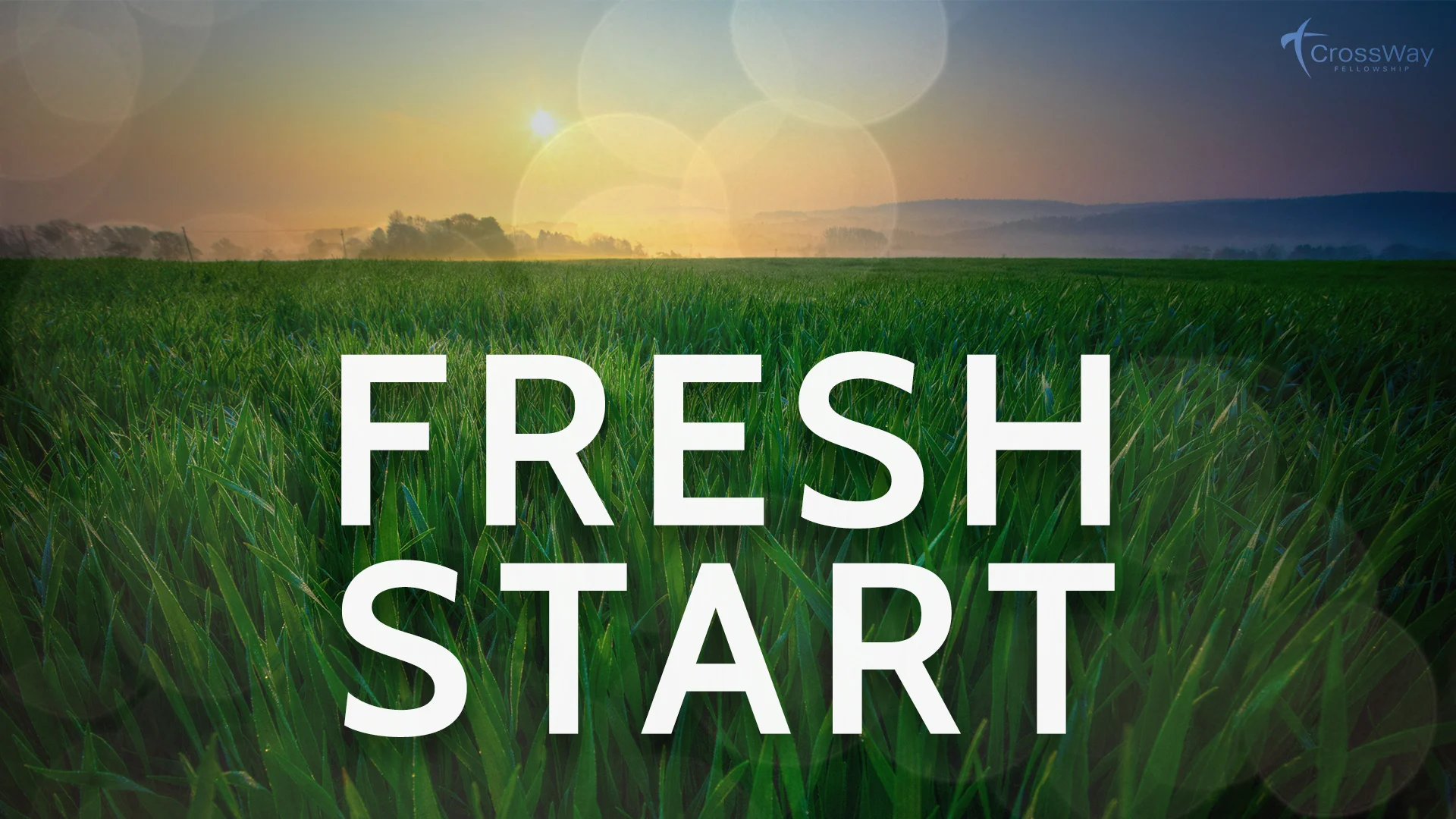 FreshStart1.jpg