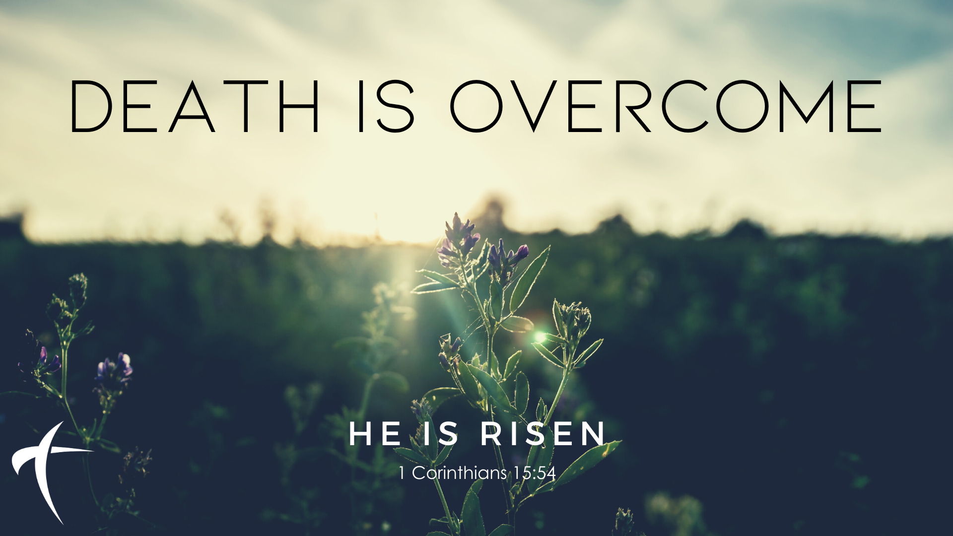 Death is Overcome—Easter 2020