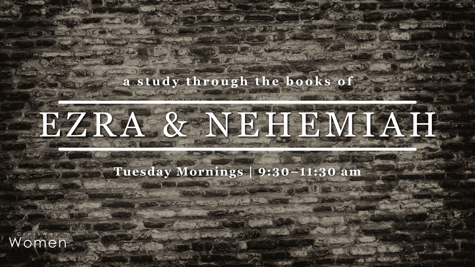 Ezra &amp; Nehemiah: Women's Bible Study 