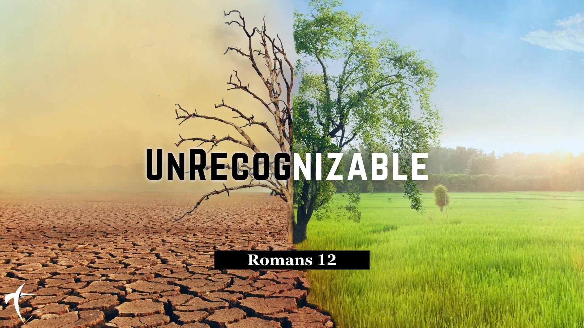 UnRecognizable (week 4)