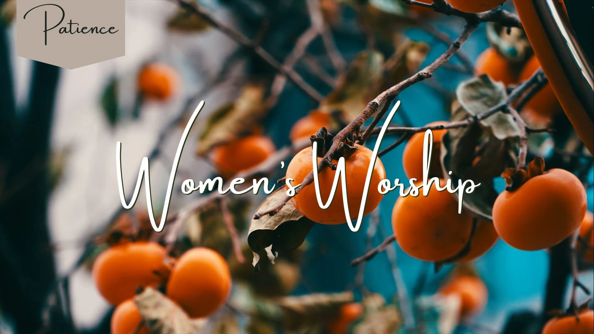 Patience—Kingdom Fruit Teaching
