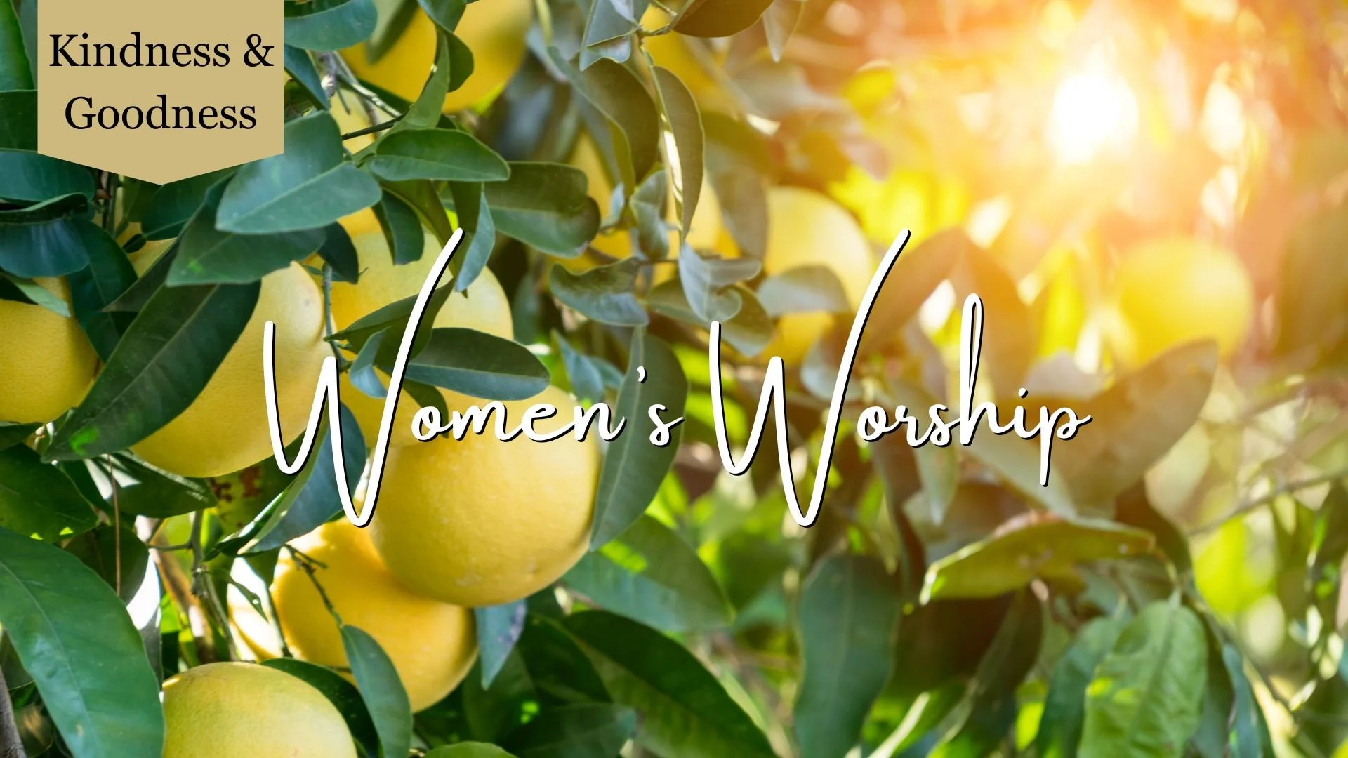 Kindness &amp; Goodness—Kingdom Fruit Teaching