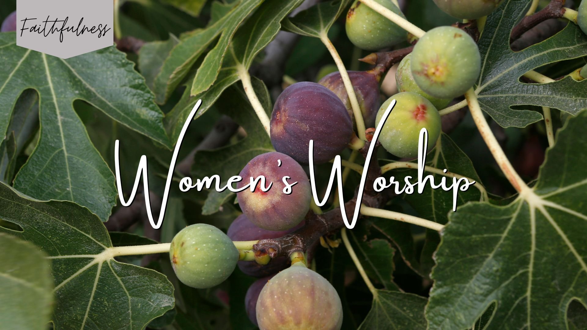 Faithfulness—Kingdom Fruit Teaching