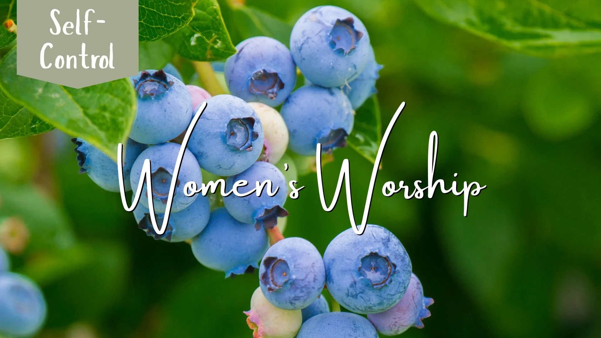 Self-Control—Kingdom Fruit Teachi