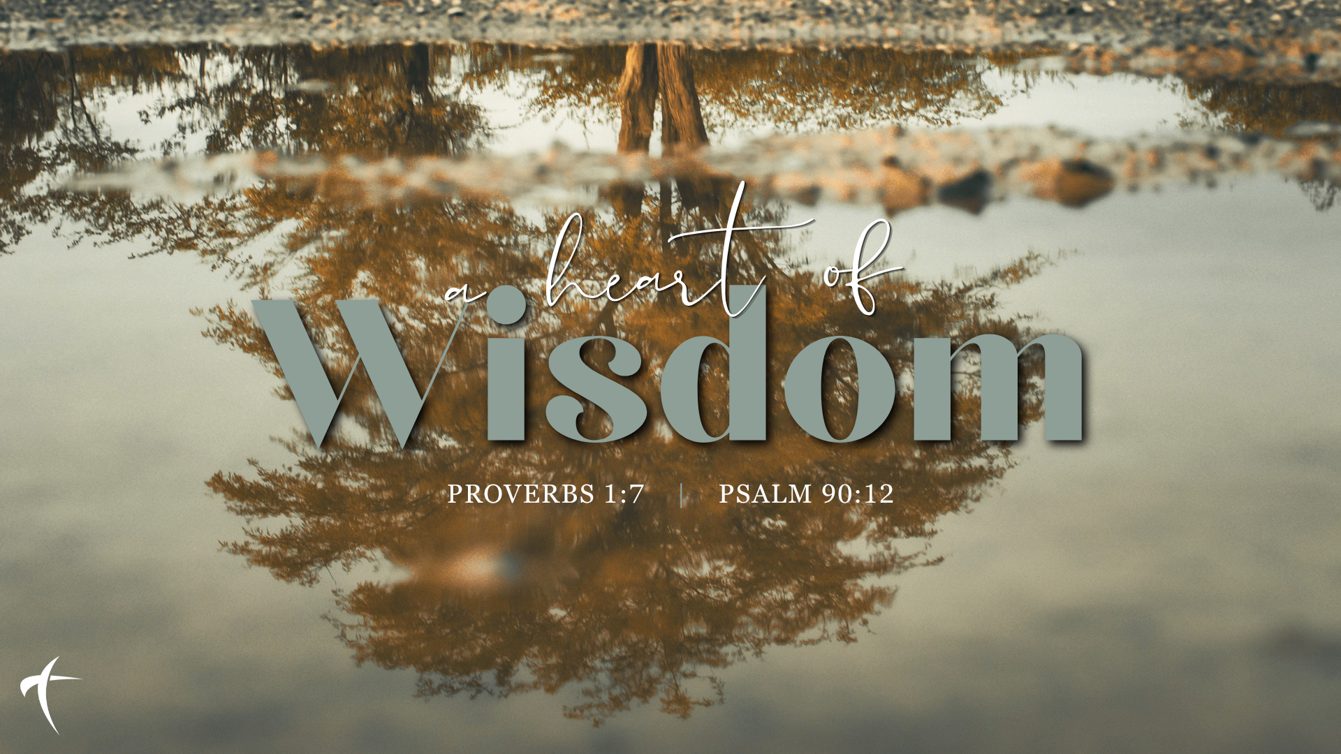 A Heart of Wisdom (week 1)