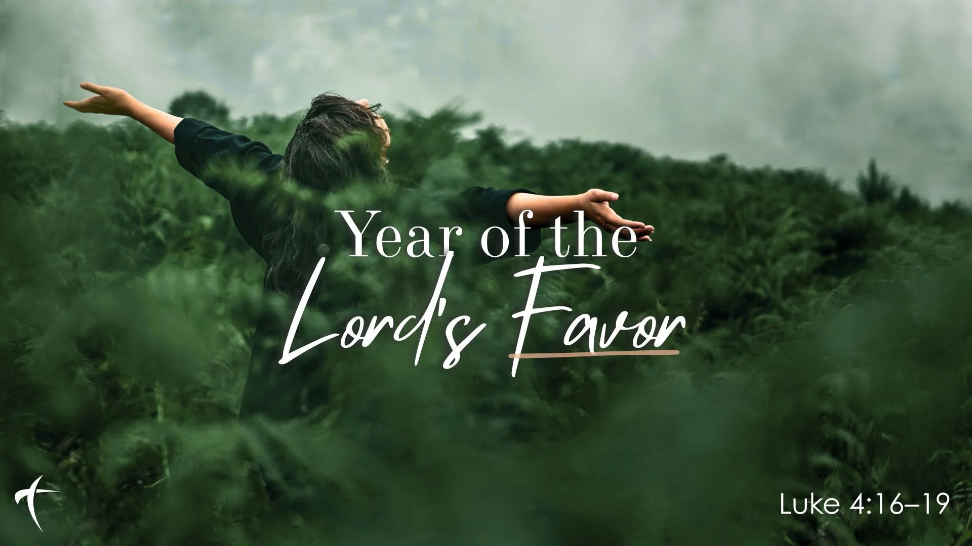 Year of the Lord's Favor