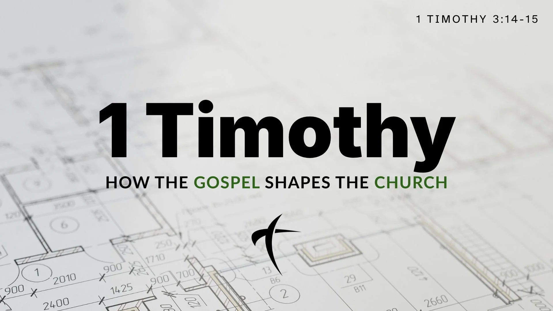 1 Timothy (week 1)