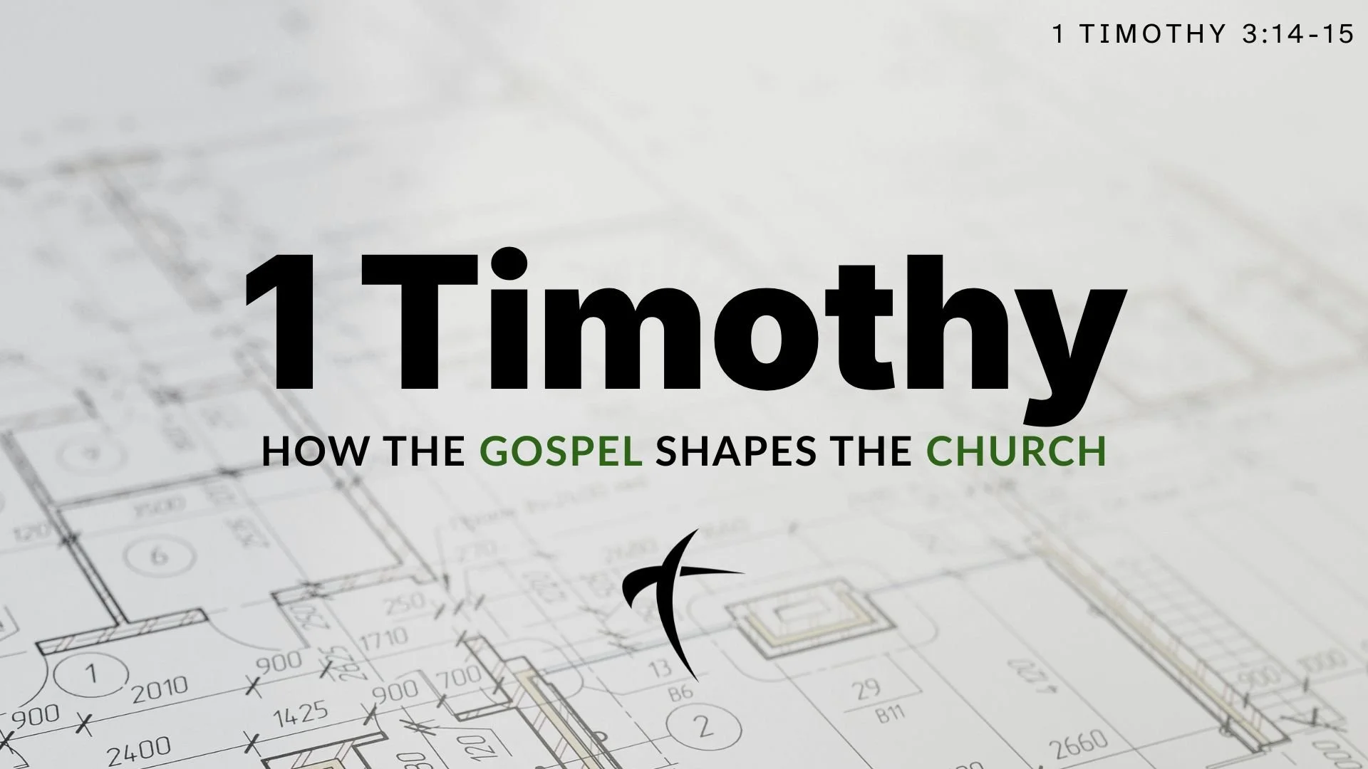 1 Timothy (week 2)