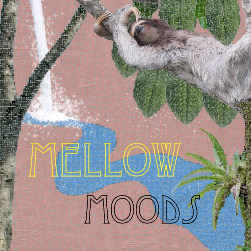 Mellow Mood (III).jpg