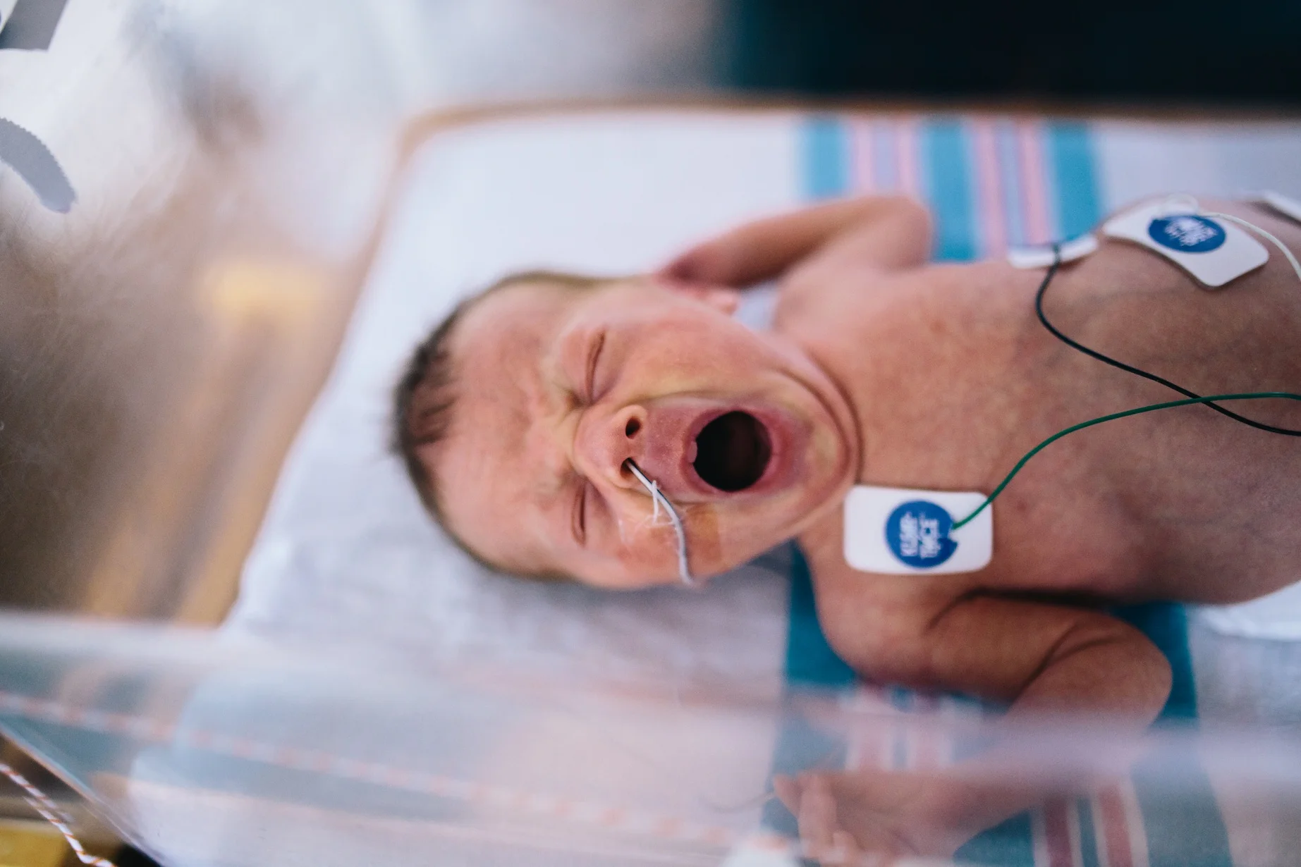 Tiny miracles.   {Nicu session} Greenville Birth Photographer