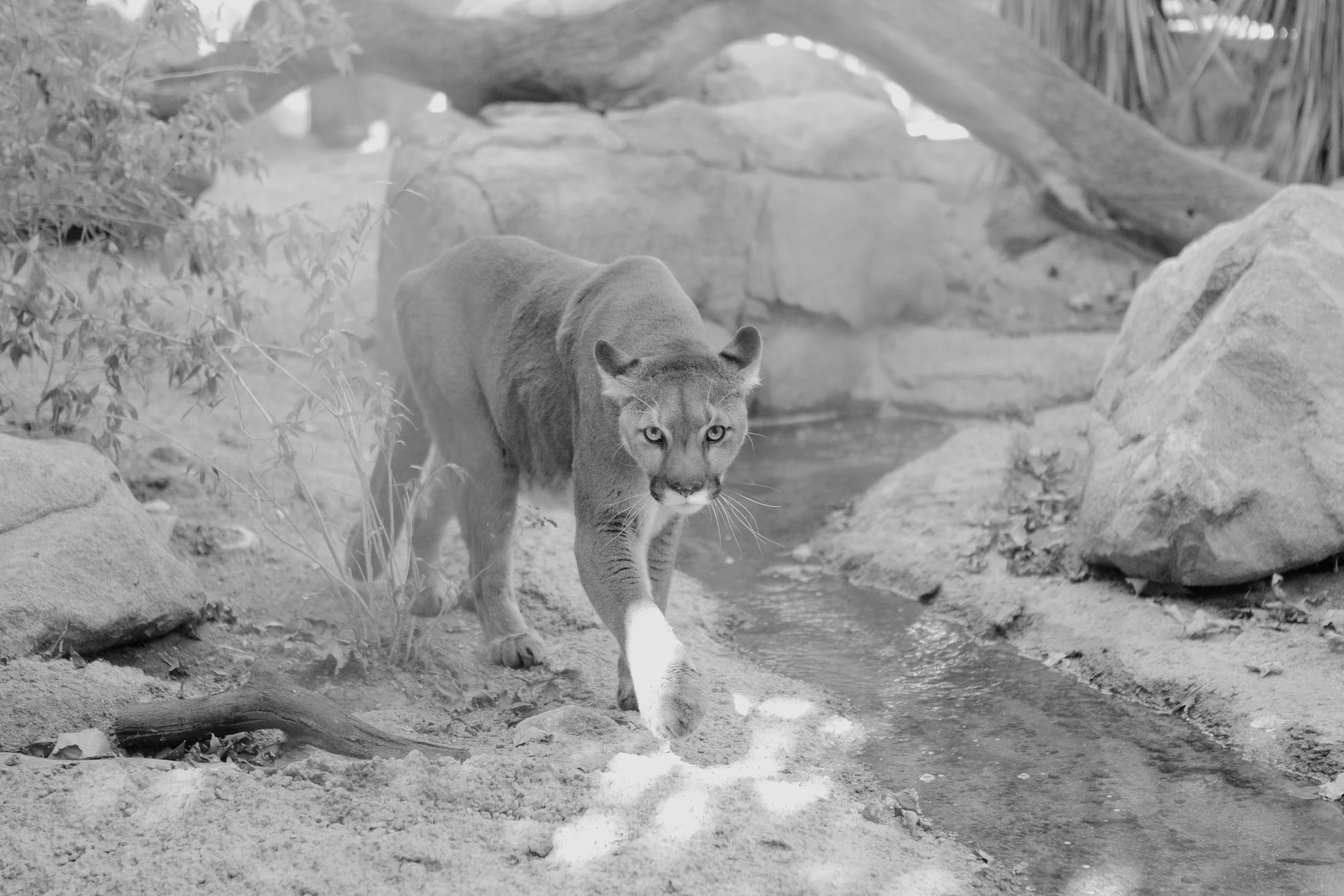 8U3A1055 - Version 2.jpg