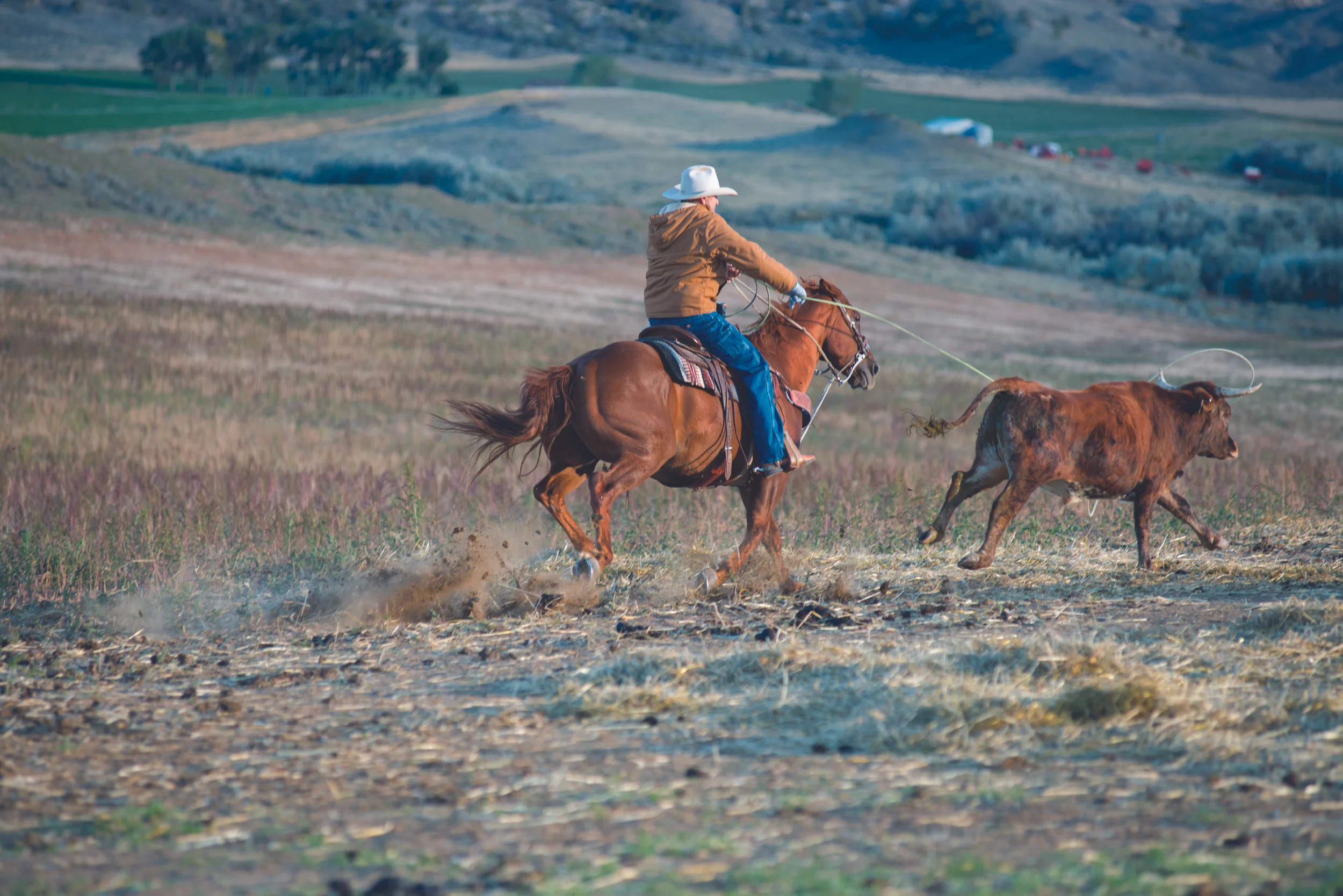 F14_093013_RANCH_Ranch_Hands_M_00494_NHD.jpg