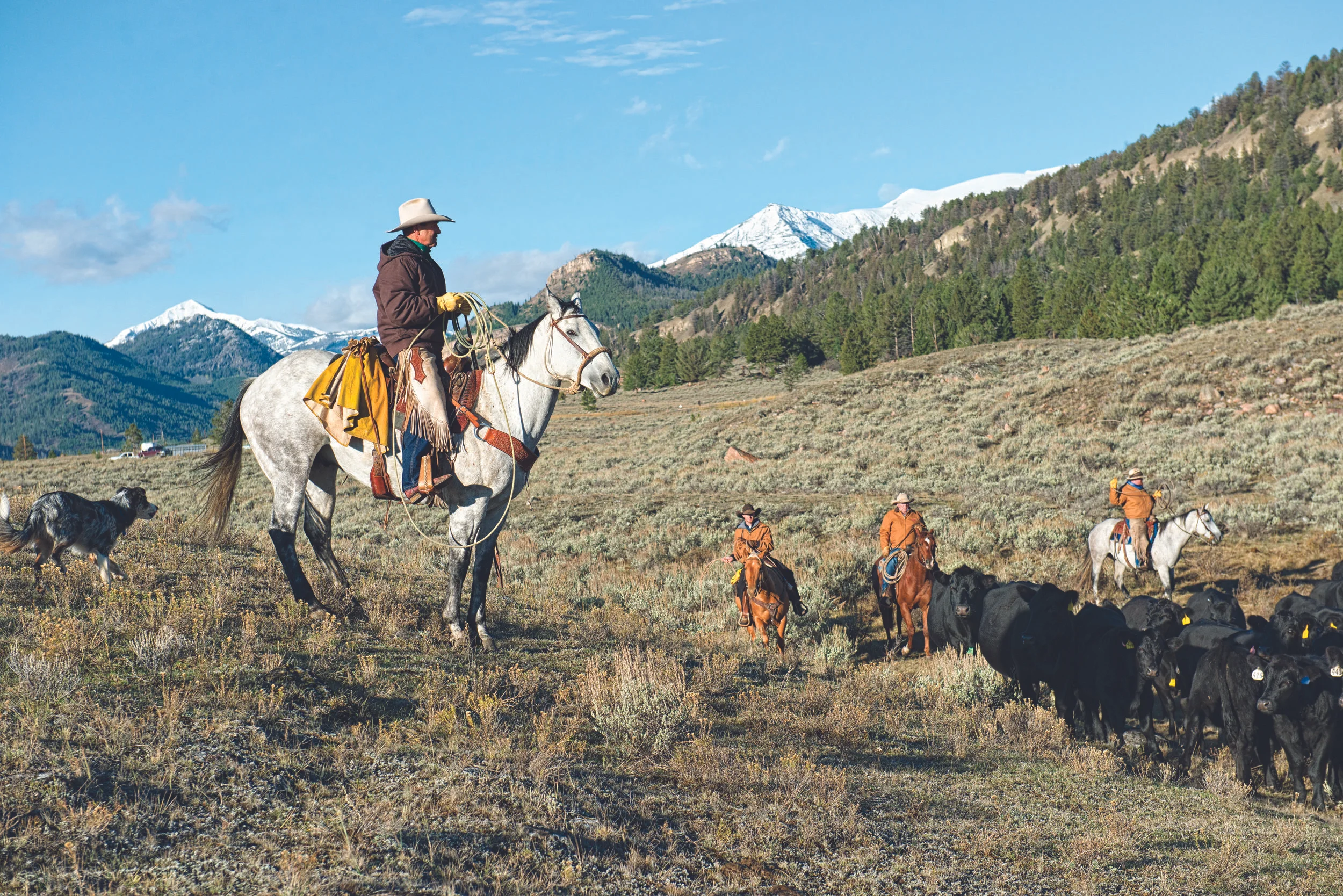 F14_100113_HIGH_COUNTRY_Cattlemen_M_00293.jpg
