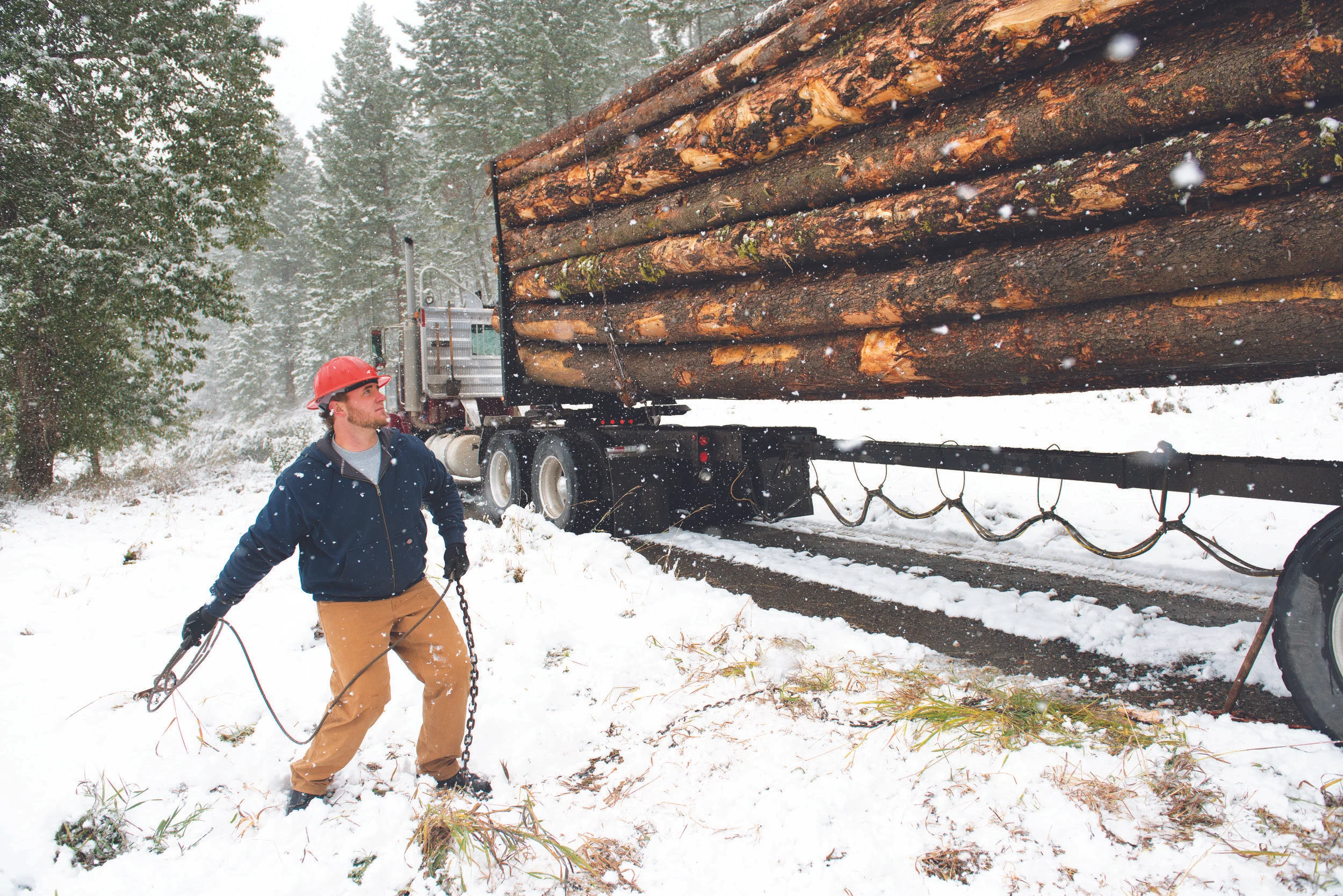 F14_100313_FOREST_Truck_M_00787.jpg