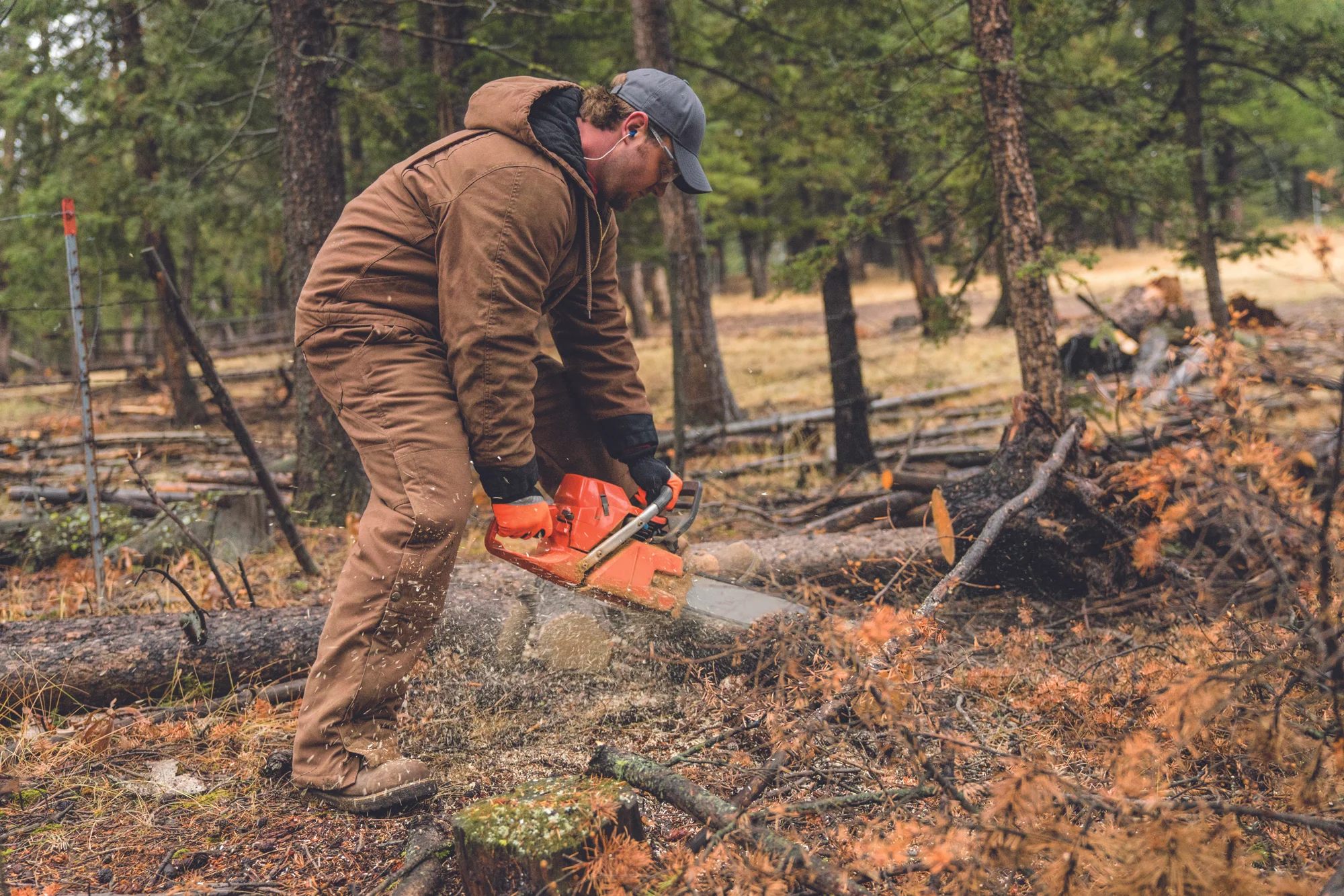 F17_CuttingLogs_Mathew_0257.jpg