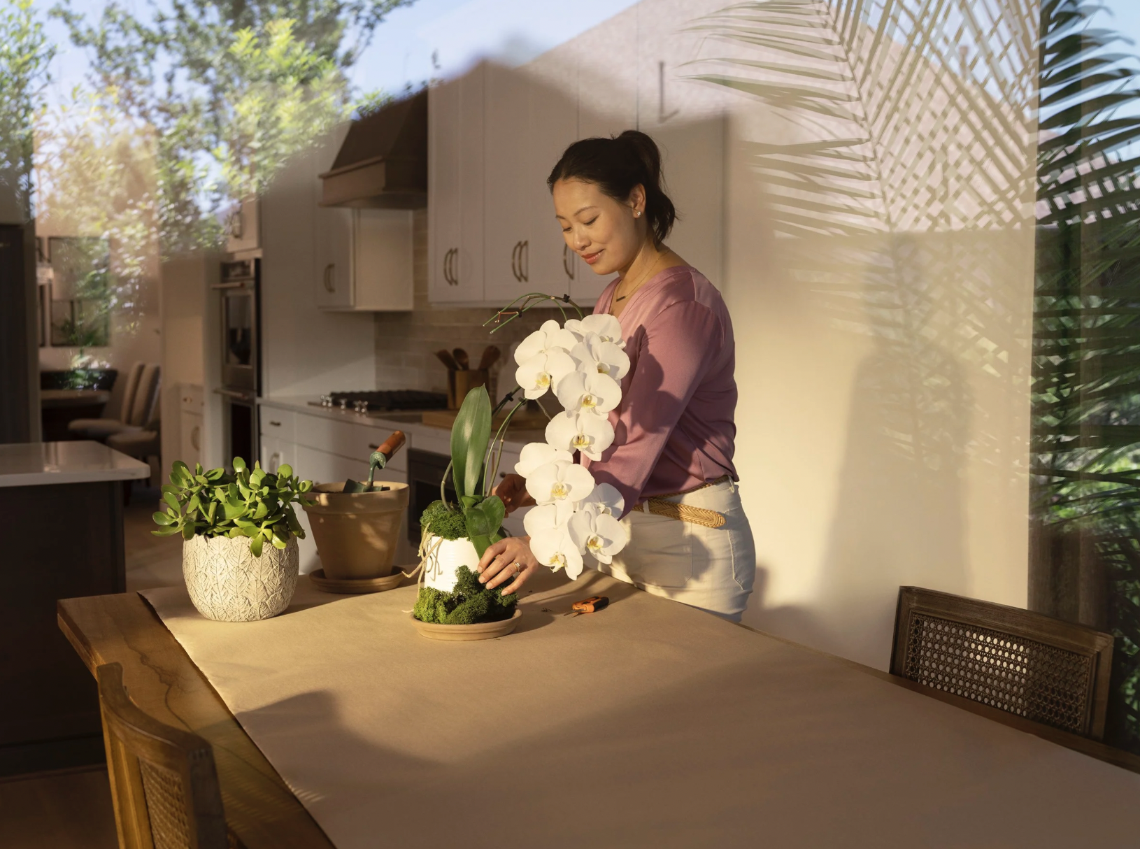 Screenshot 2026-01-09 at 11.51.57.png