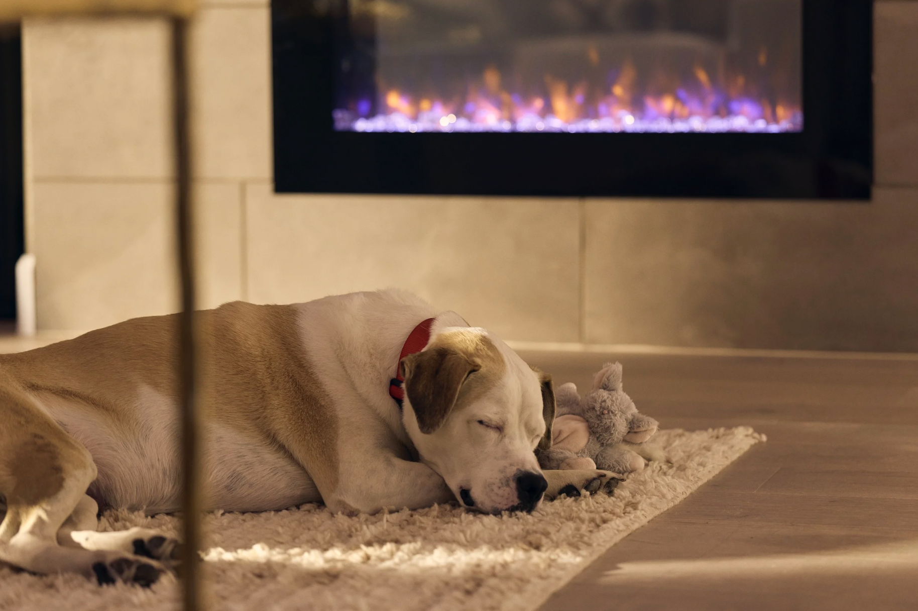 Screenshot 2026-01-09 at 11.49.26.png