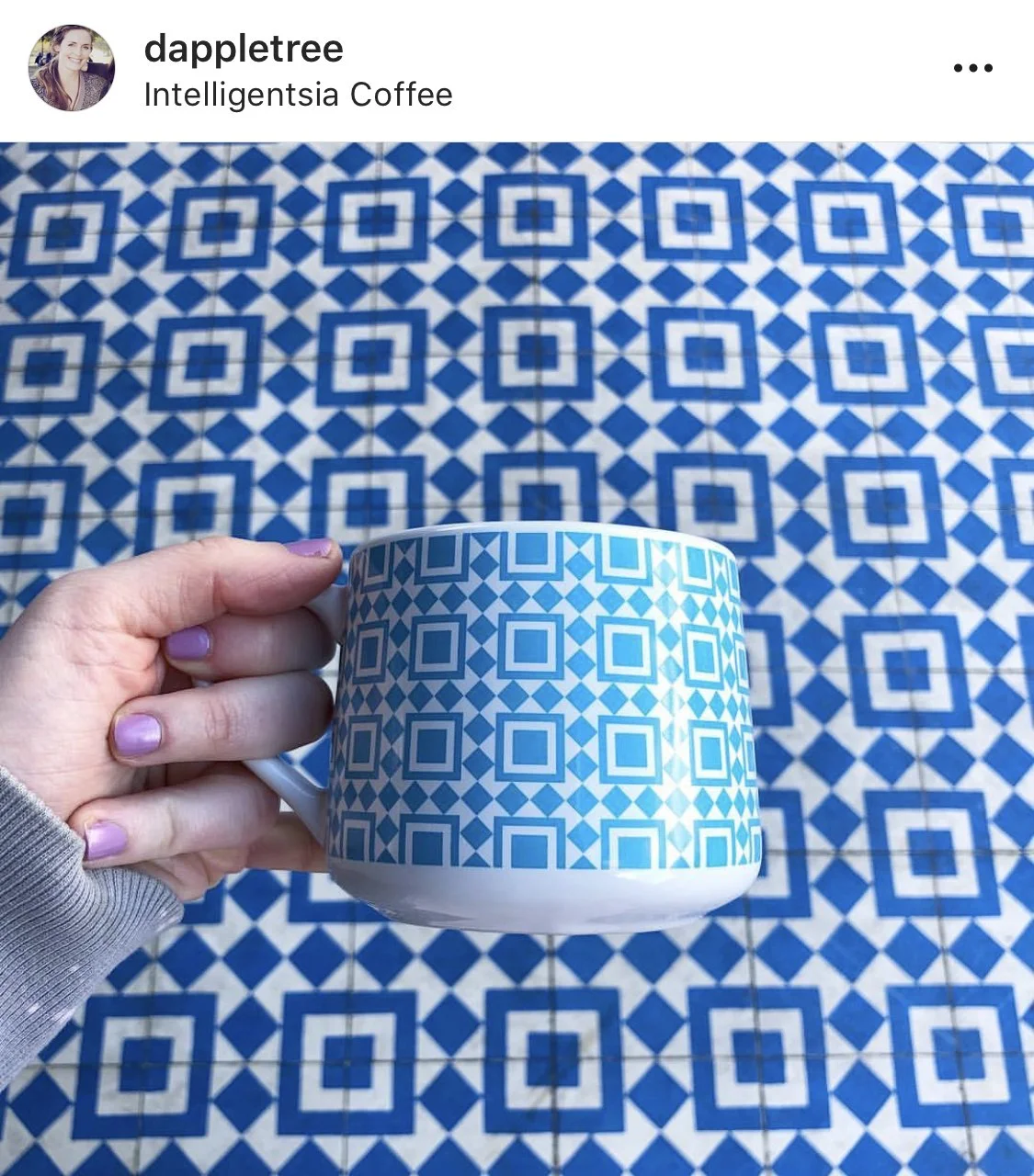 Intelli Silverlake Mug