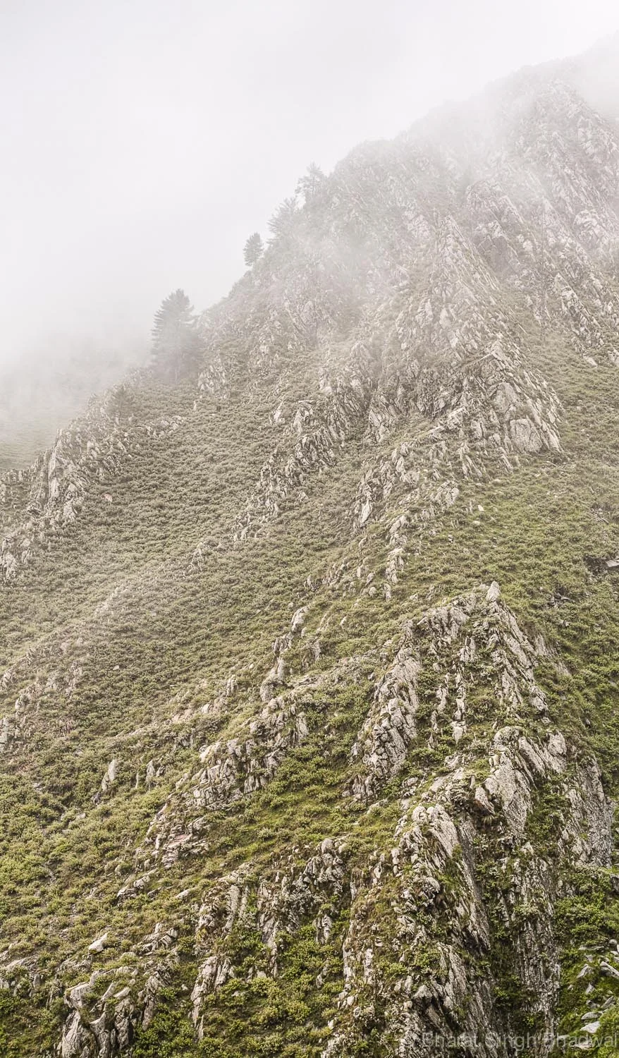 hairy descent