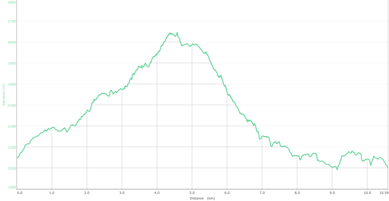 Elevation graph - unnamed ridge over Patnitop trek ( what is this? )