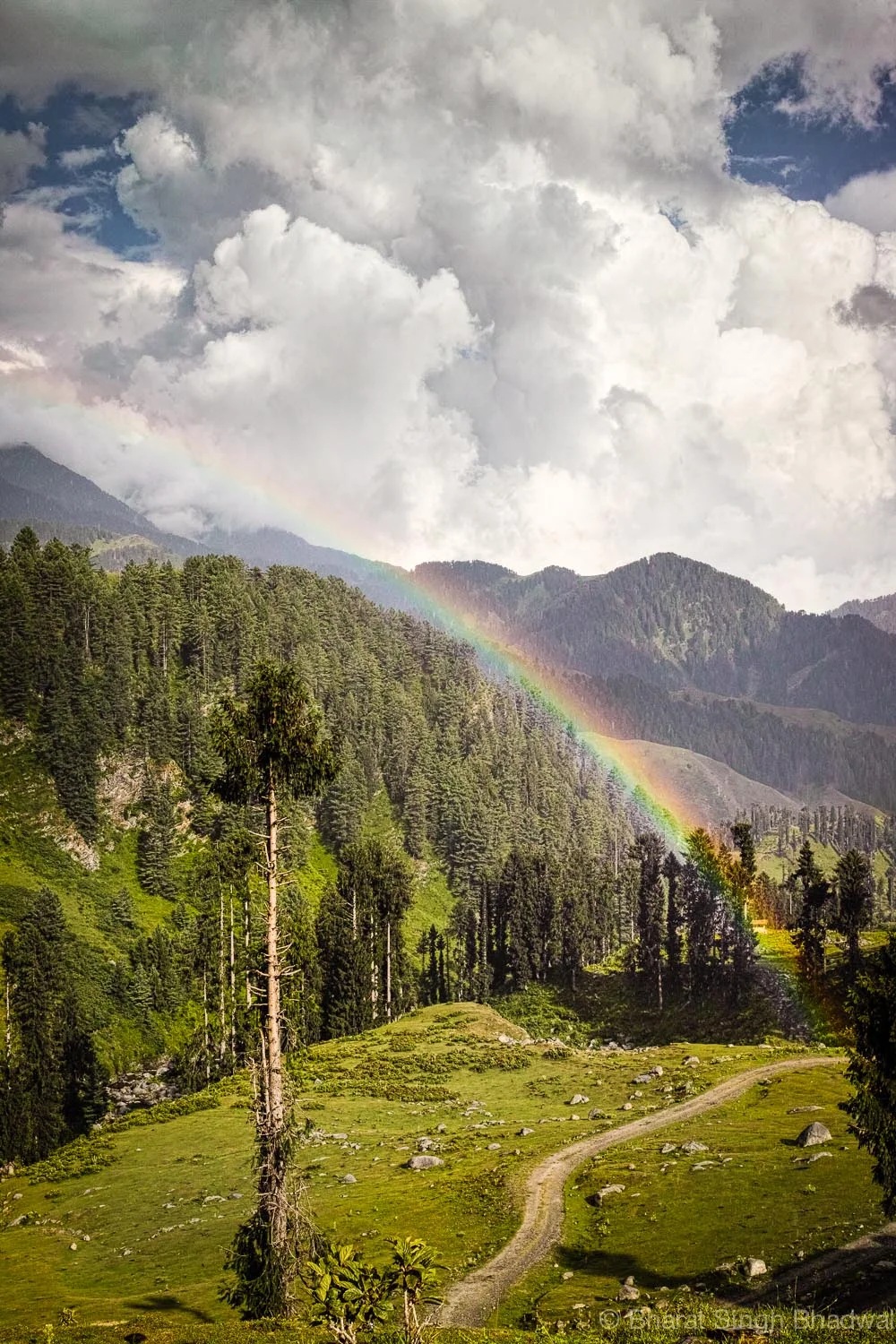 Rainbow