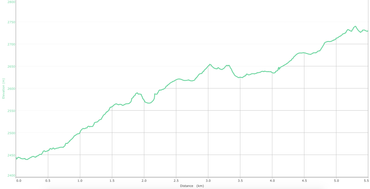 elevation graph - Chowari Jot to Dainkund ( what is this? )