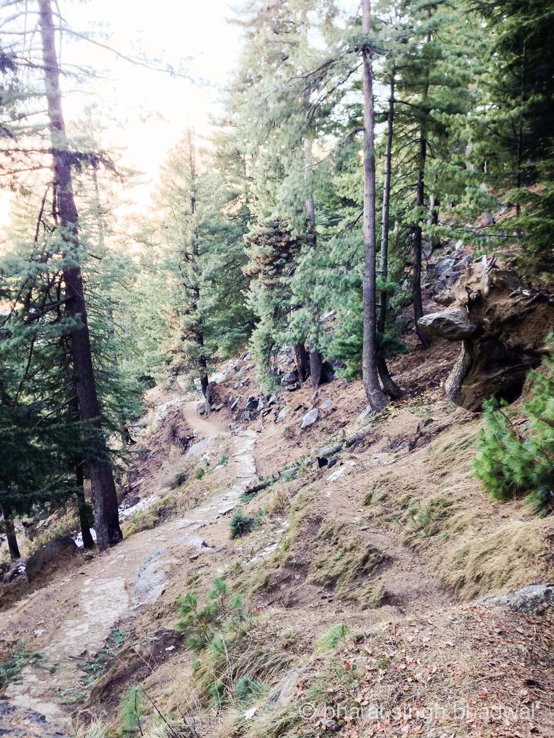 Trail to Bijli Mahadev temple