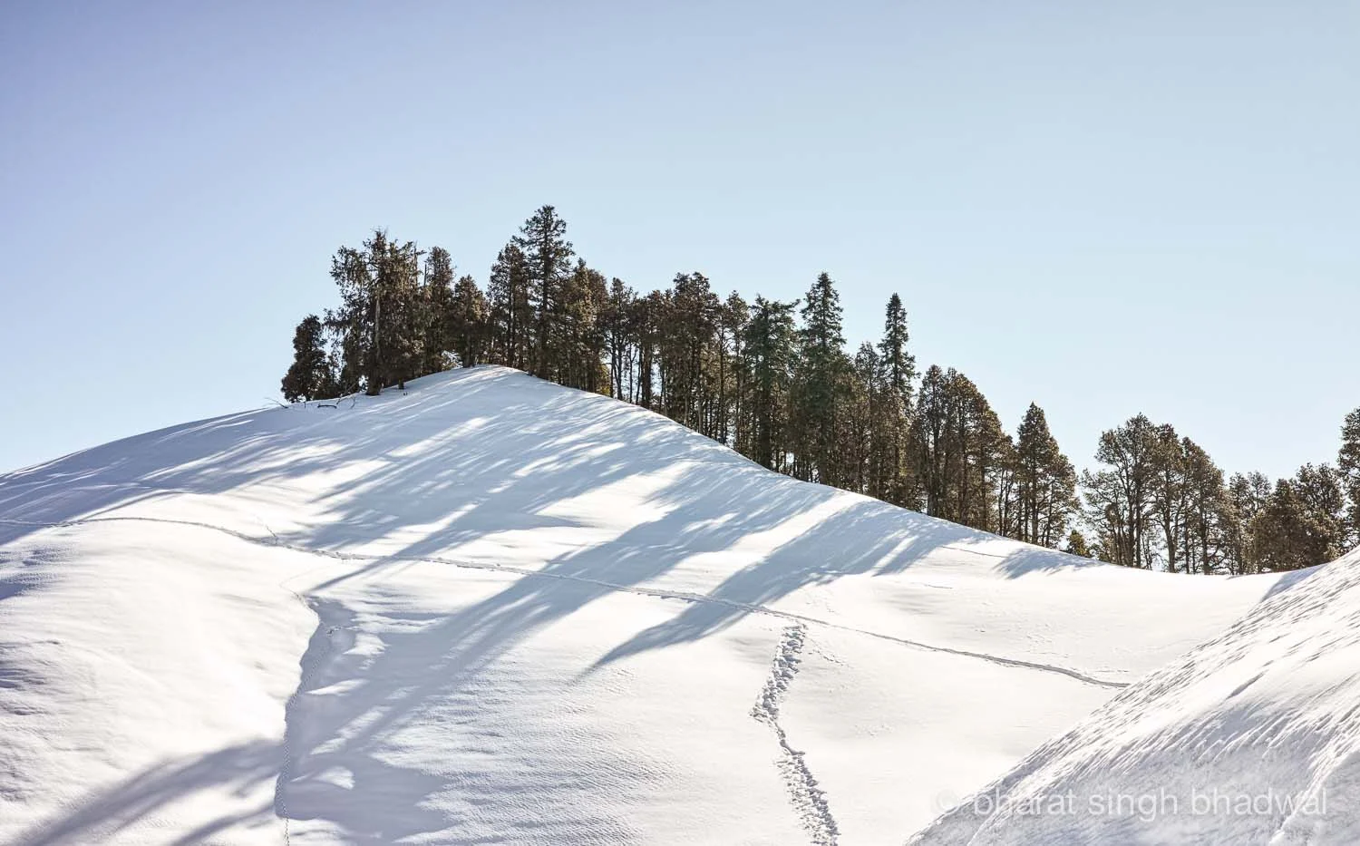 Making tracks over an extra helping of snow.