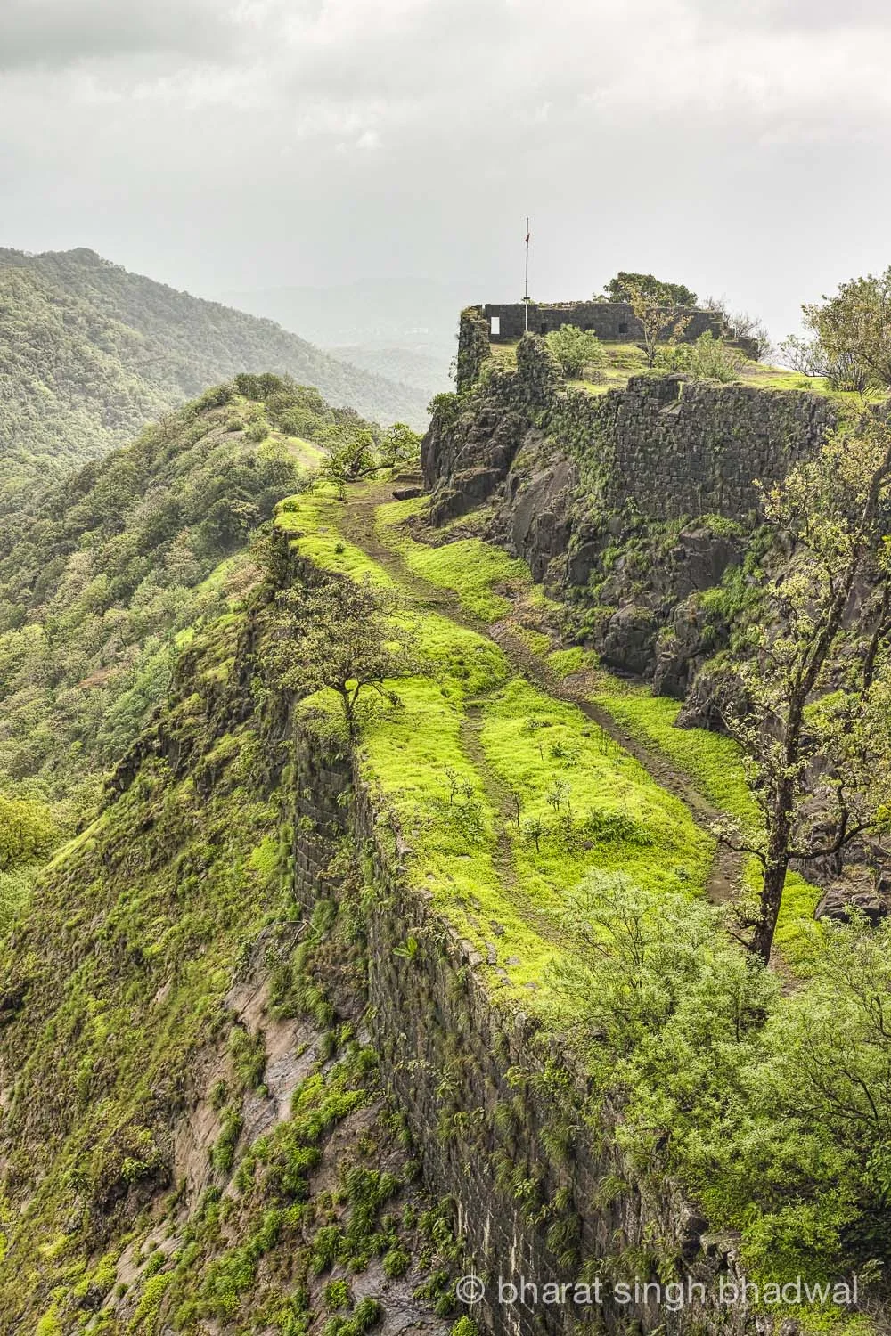 Karnala fort relief