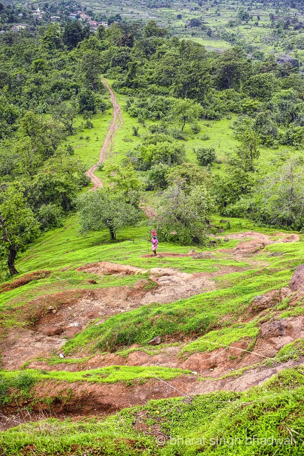 Zigzags along Irshalgad ridge