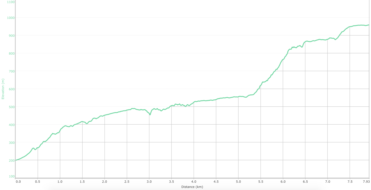 elevation graph - Khandas to Bhimashankar ( what is this? )