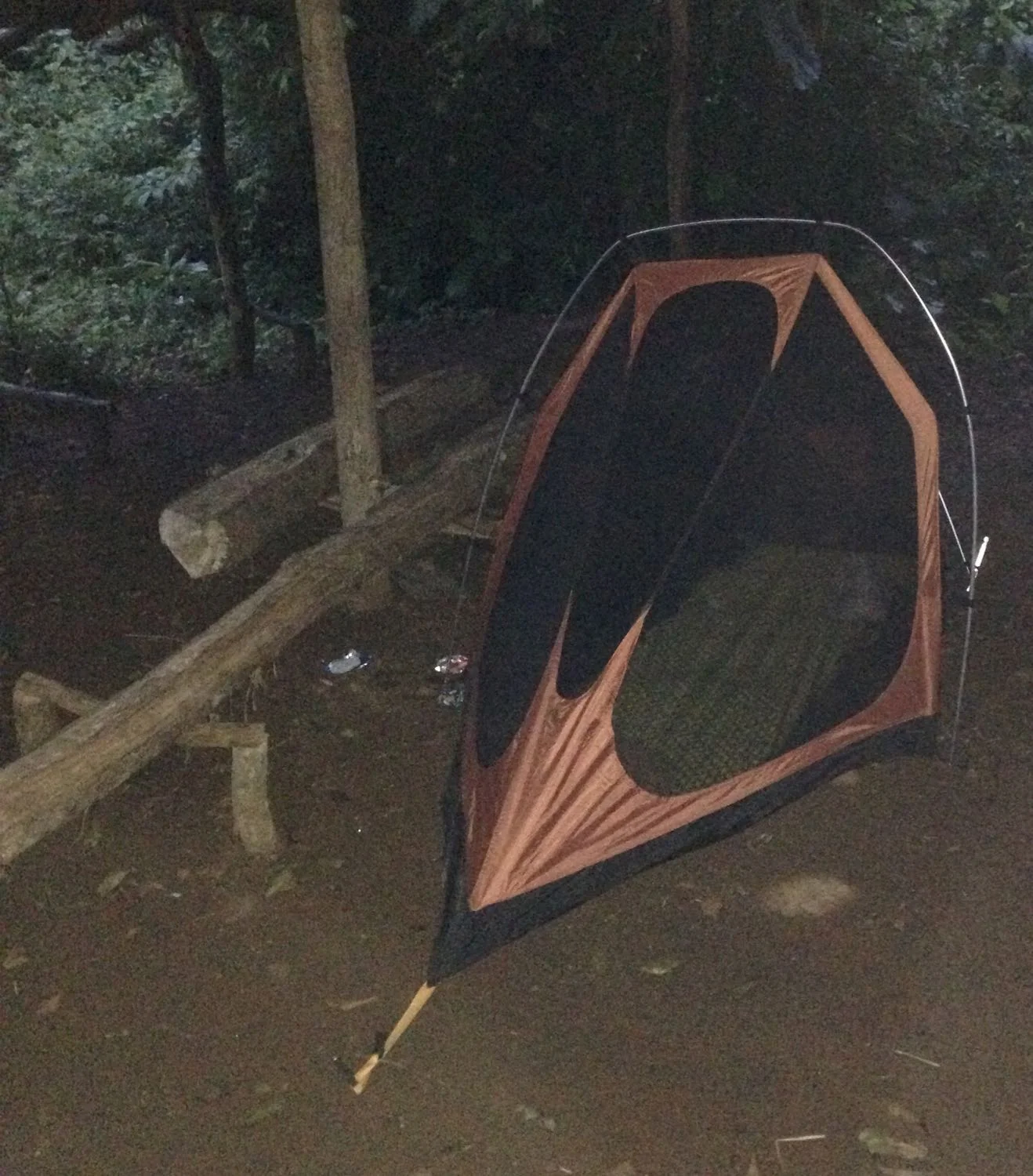 Our overnight accommodation in our futile search for phosphorescent (glow in the dark) plants
