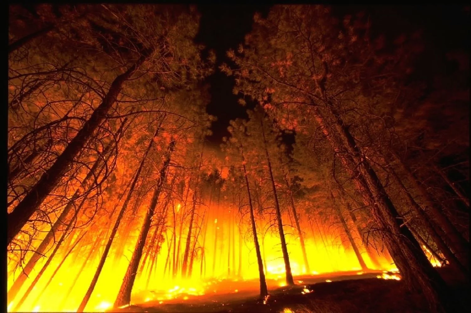 An dying ember can result in a blazing inferno