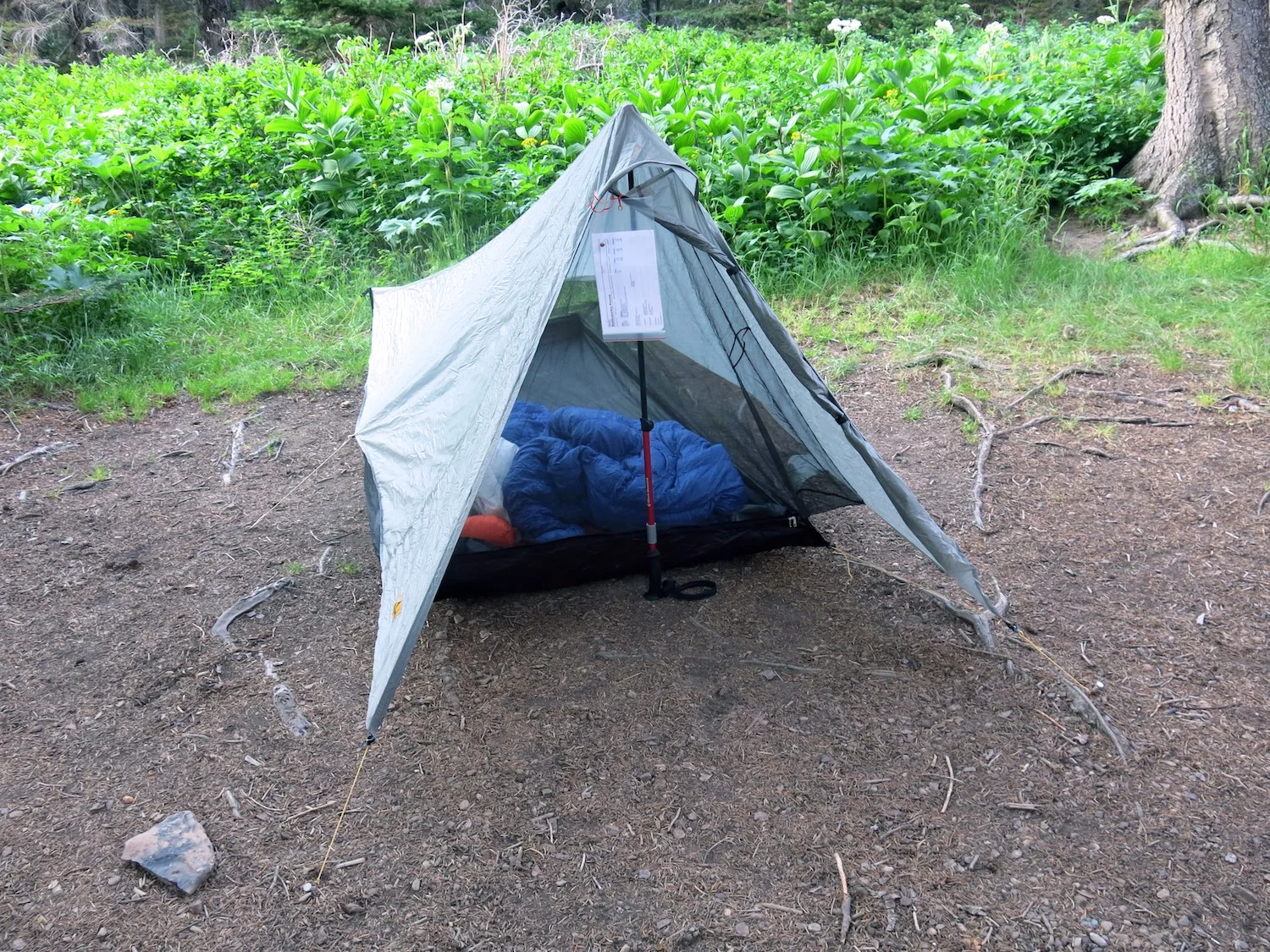 A tarp setup