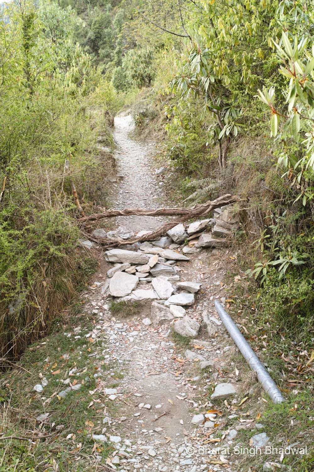 Wooden fork and the water pipeline to the right