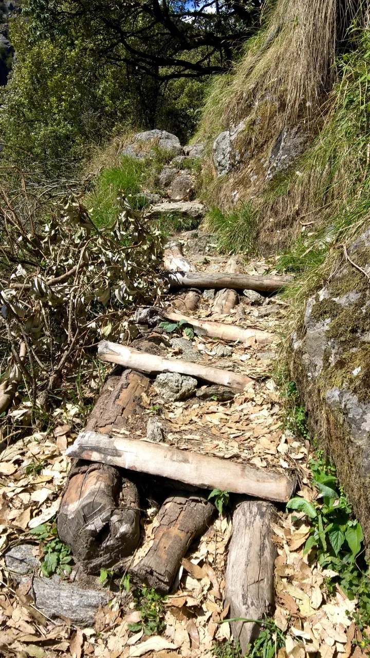 Trail cleverly bolstered with some logs
