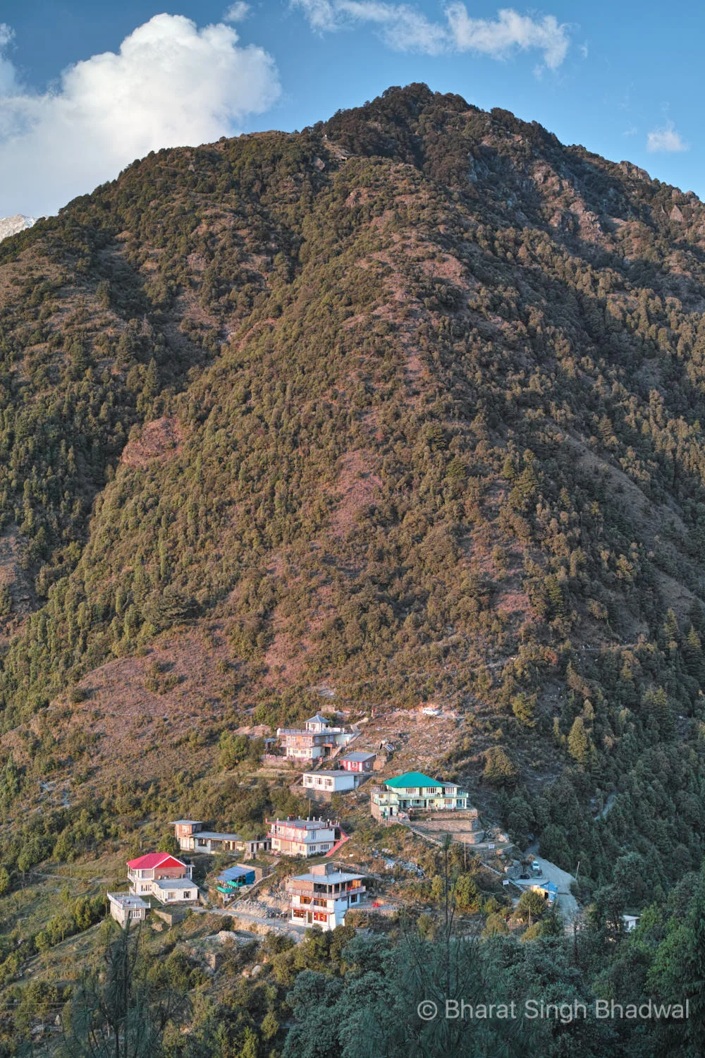 Gallu Temple with its proliferation of Guest Houses, backed by its protective hillock. Two trails are clearly visible. the one on the right leads to Triund and the one on the left leads to Waterfall Cafe .
