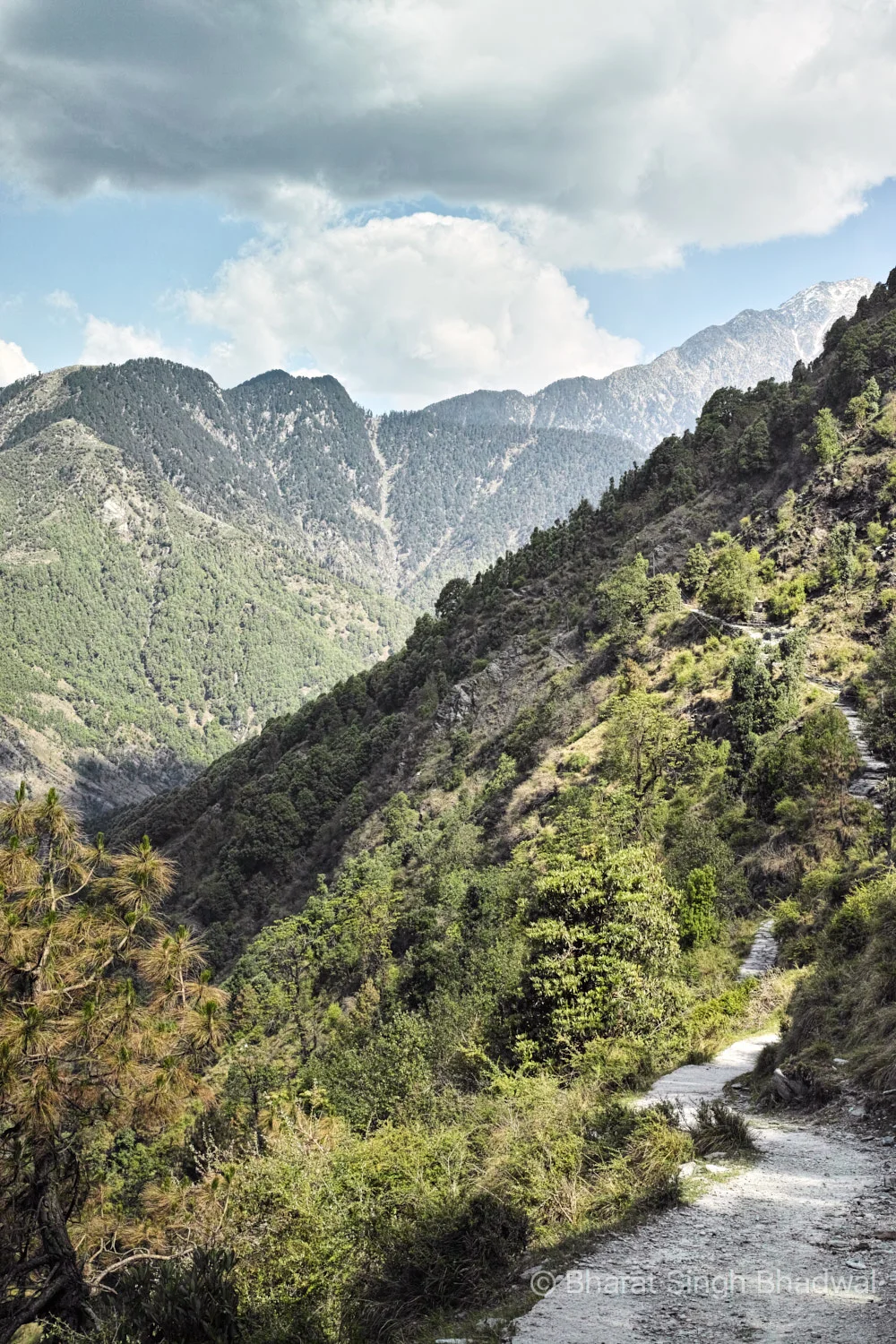 Trail between Balh village and Guna temple