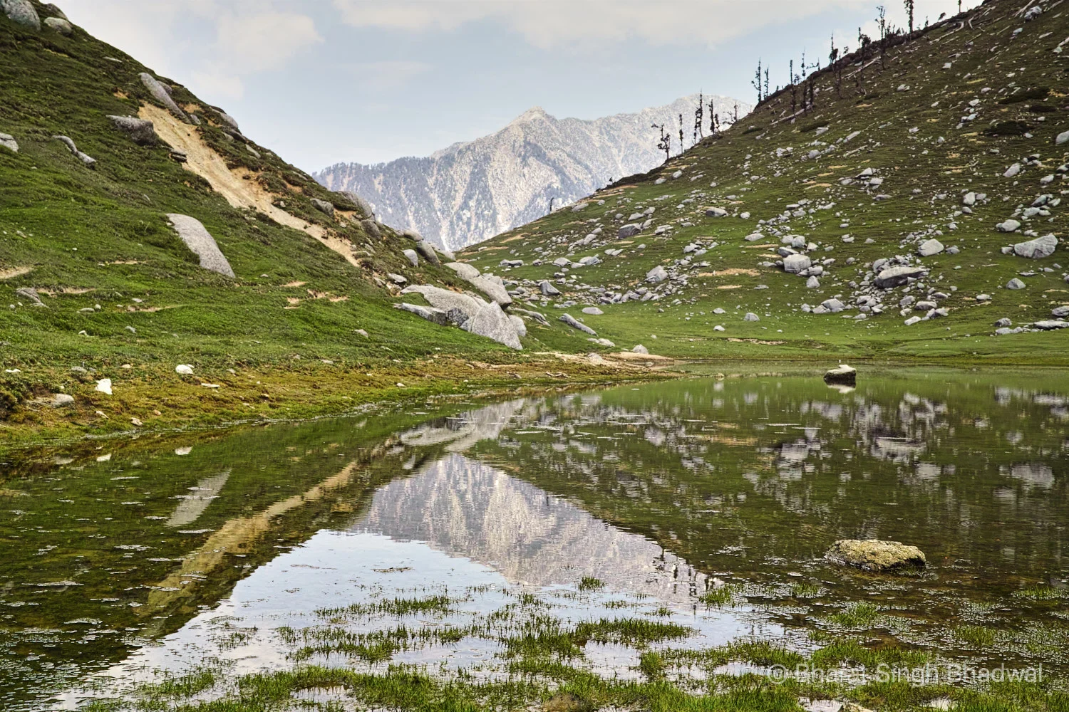 Dhauladhars reflected in Kareri Lake