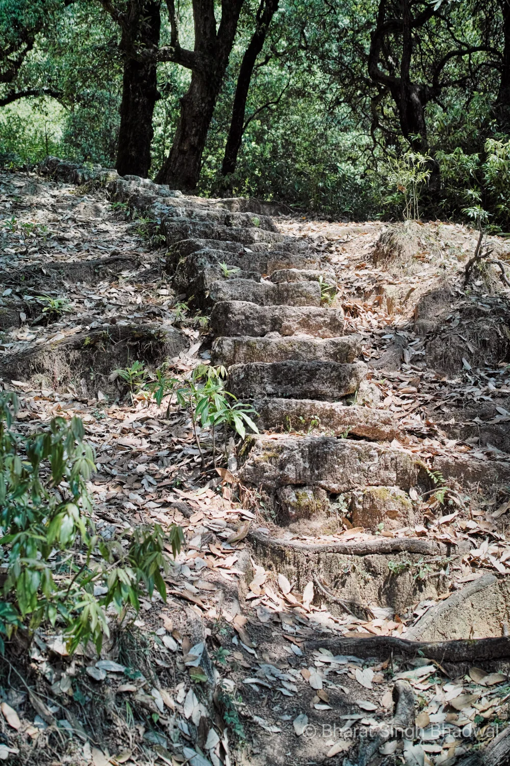 Steep stone cut stairs on the Kareri Lake trek