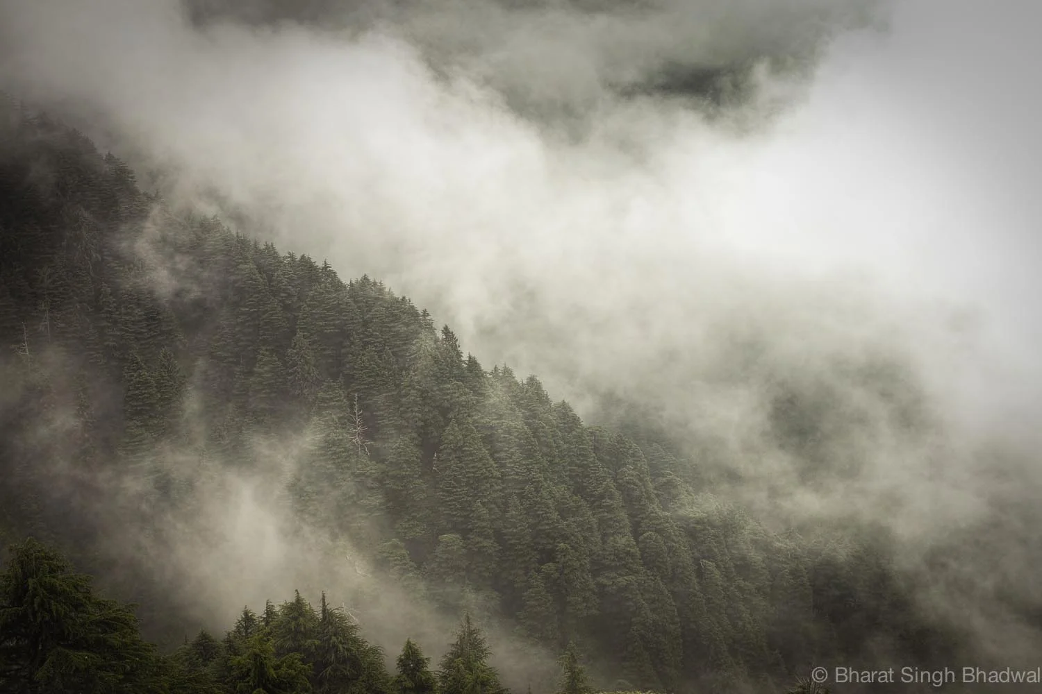 Mist, fog and mountains make an irresistible combination during the monsoons