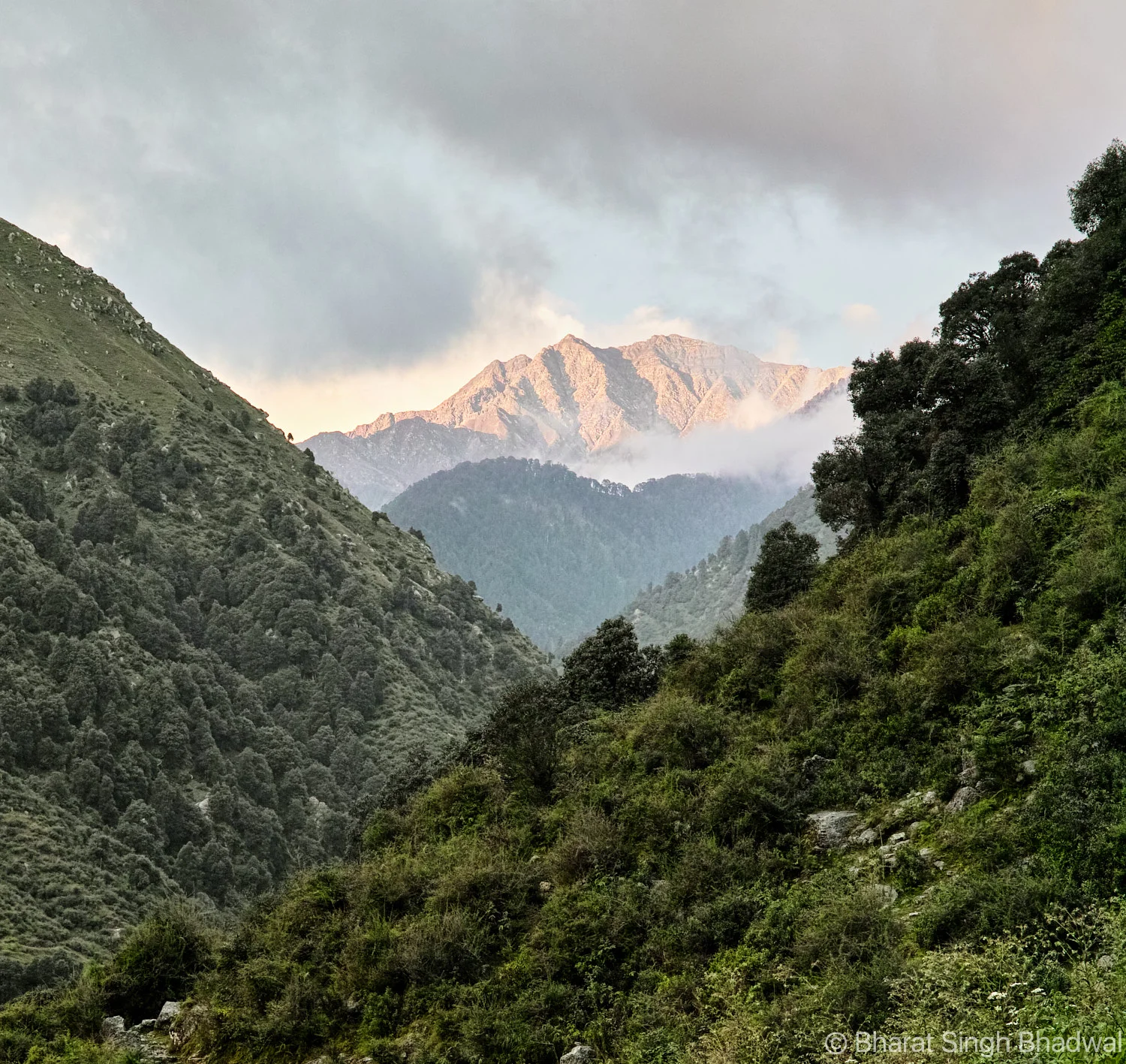 Dhauladhars visible from Bakluddu